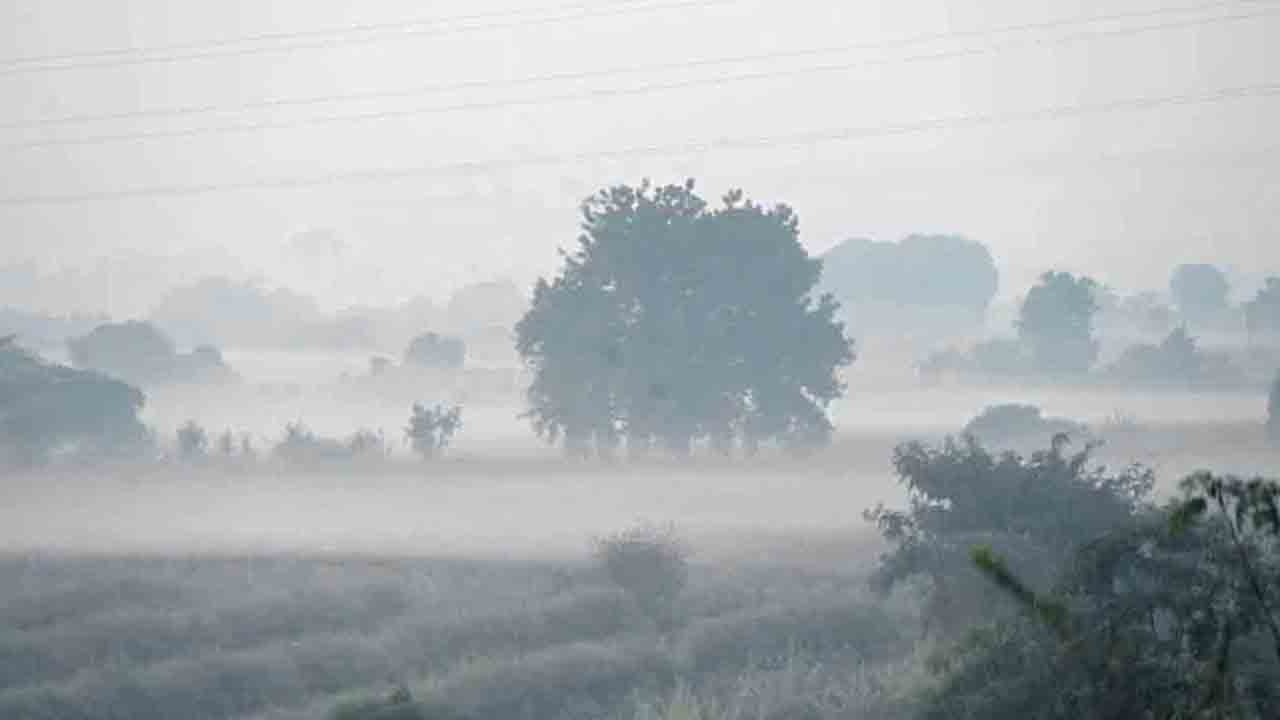 చలిపులి.. చదువులు గజిబిజి