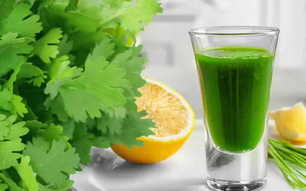Coriander Leaves Juice