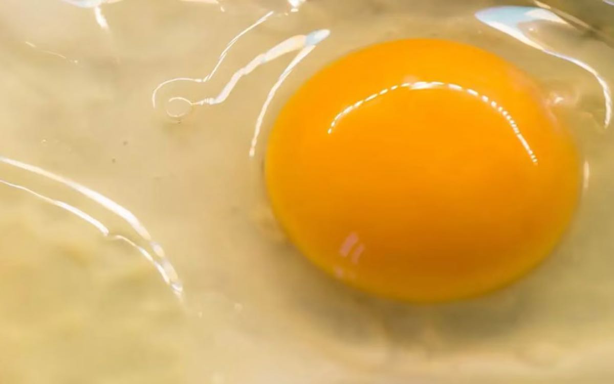 Egg Yolk | కోడిగుడ్ల‌లో ఉండే ప‌సుపు ప‌చ్చ సొన‌ను తిన‌డం మంచిదేనా..? ఎవ‌రు తినాలి.. ఎవ‌రు తిన‌కూడ‌దు..?