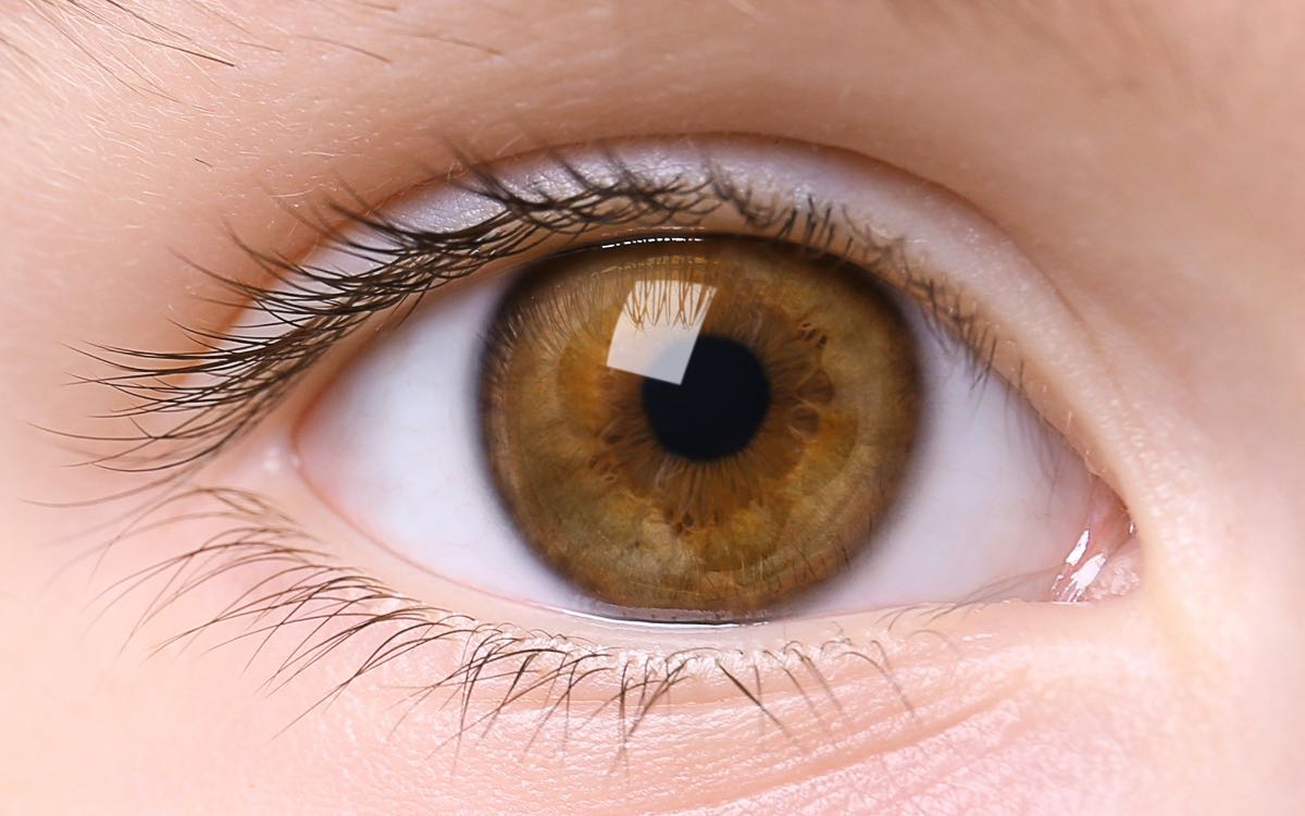 Eyes Health In Winter | ఈ సీజ‌న్‌లో క‌ళ్ల‌ను ఆరోగ్యంగా ఉంచుకోవాలంటే.. వీటిని తినాలి..!