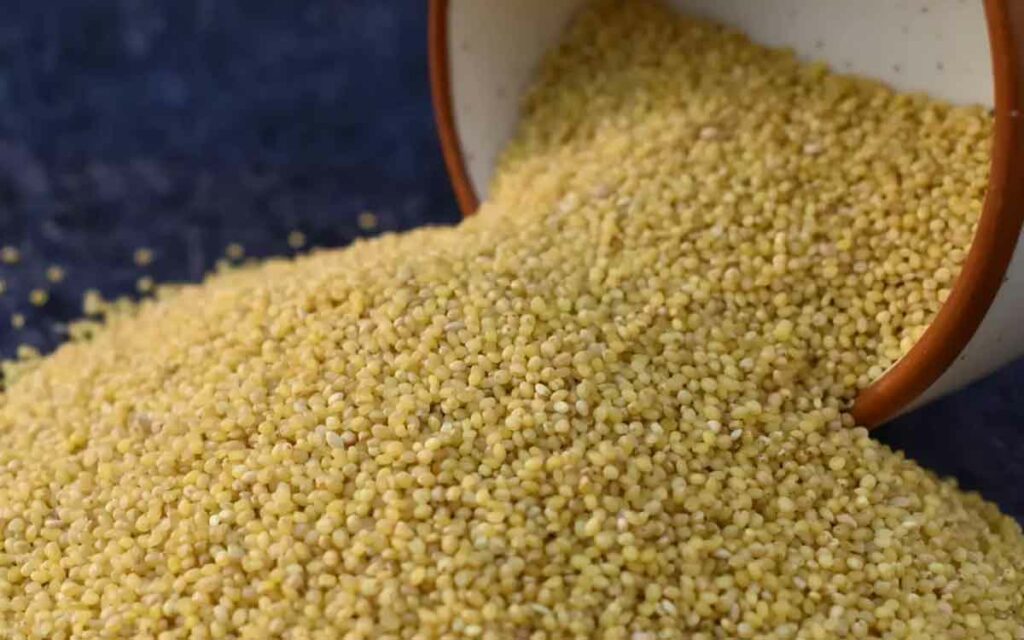 Foxtail Millets