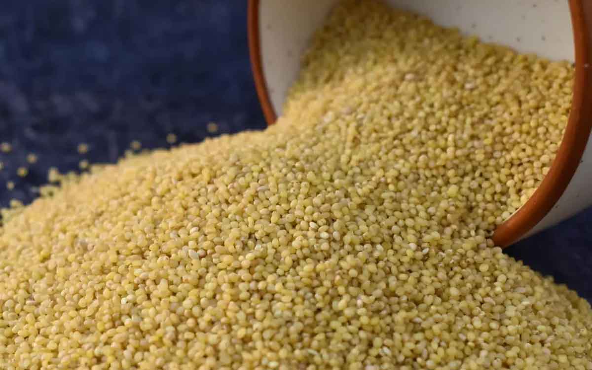 Foxtail Millets | ఆరోగ్యానికి ఎంతో మేలు చేసే కొర్ర‌లు.. రోజూ తింటున్నారా.. లేదా..?