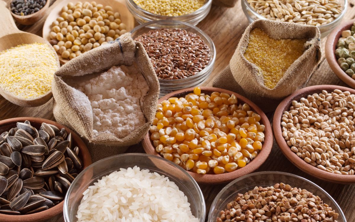 Multi Grains | కేవలం గోధుమల‌నే కాదు.. ఈ ధాన్యాల‌తోనూ రొట్టెల‌ను చేసి తింటే మంచిది..!