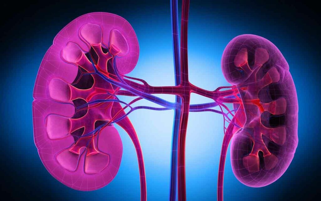 Kidney Disease
