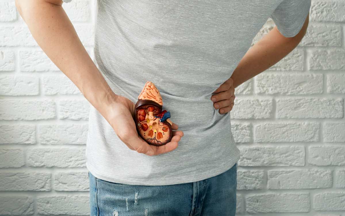 Kidney Stones | మూత్ర పిండాల్లో అస‌లు రాళ్లు ఎలా ఏర్ప‌డుతాయి..? ఇవి ఉంటే క‌నిపించే సంకేతాలు ఏమిటి..?