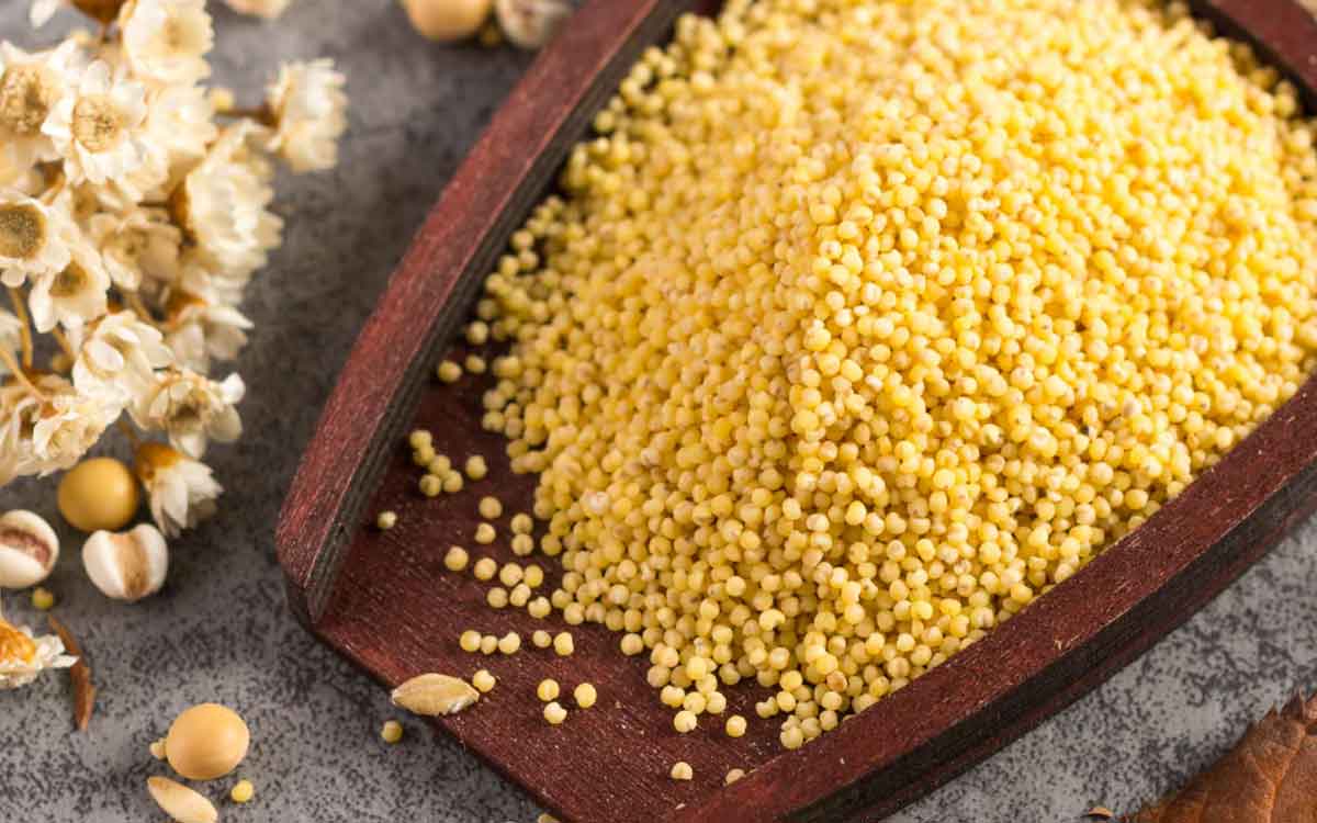 Kodo Millets | మ‌న ఆరోగ్యానికి ఎంతో మేలు చేసే అరికెలు.. వీటిని తిన‌క‌పోతే మీరు ఈ లాభాల‌ను కోల్పోతారు..