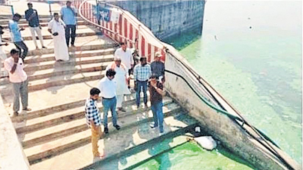 Krishna River | కాలుష్య కాసారంగా కృష్ణానది.. మట్టపల్లి వద్ద దుర్గంధం వెదజల్లుతున్న నదిలోని నీళ్లు