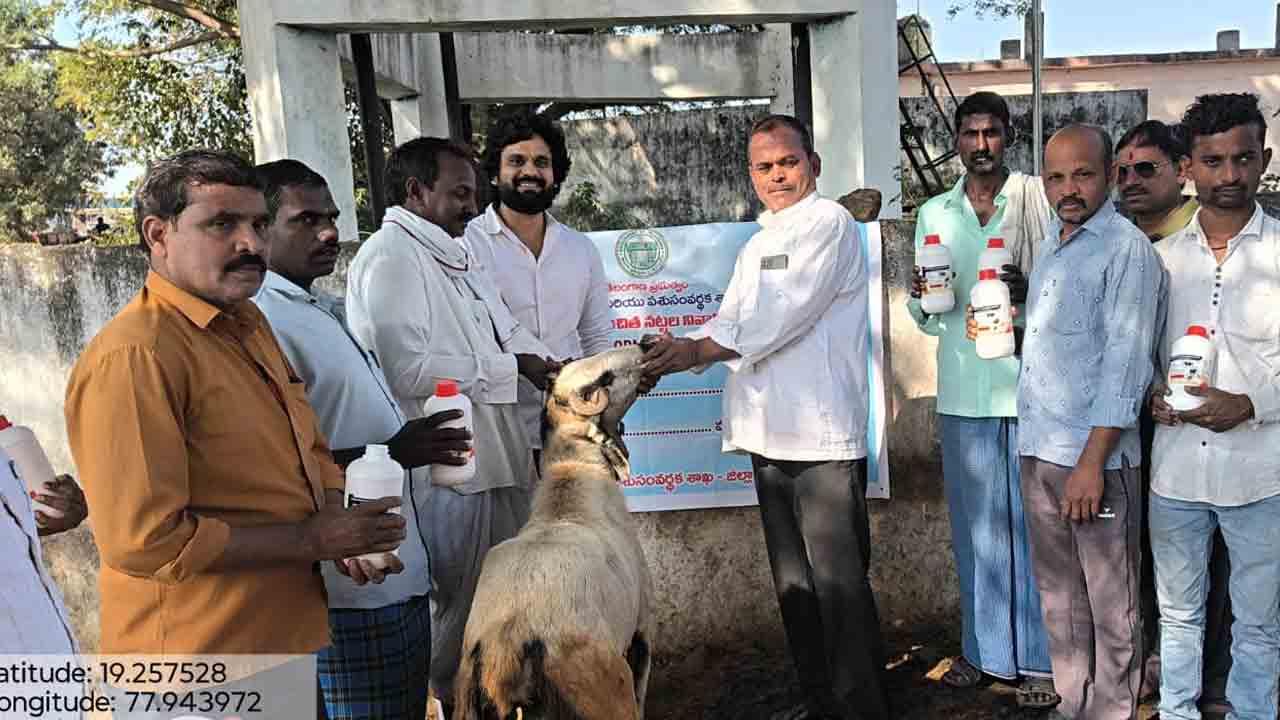 Khubir | పశువులకు వ్యాధులు సోకకుండా ముందస్తు జాగ్రత్తలు తీసుకోవాలి