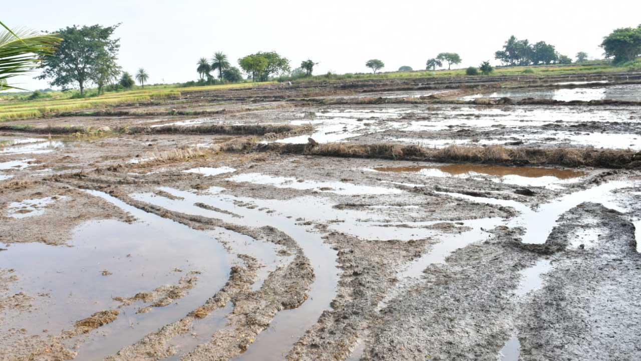 రైతుకు భరోసా ఏదీ..?