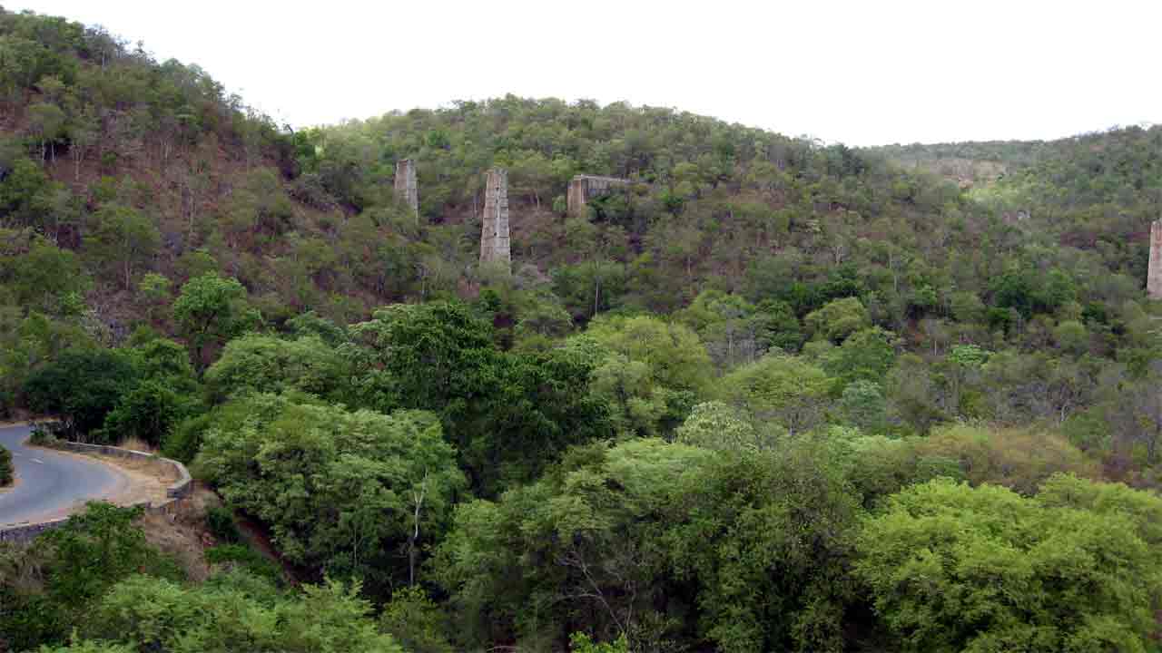 Nallamala | నల్లమల్లలో గుప్త నిధుల కలకలం