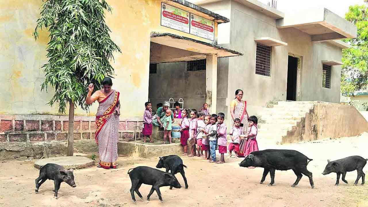 Telangana | 12 మంది పిల్లలు. 5 పందులు.. విద్యారంగంపై నిర్లక్ష్యానికి అద్దంపట్టే చిత్రమిదీ!