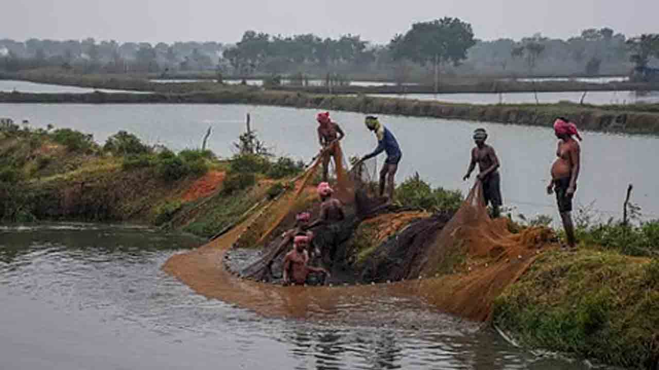 మత్స్యకారులకు చేపల చెరువుల బిల్లుల ఎగవేత