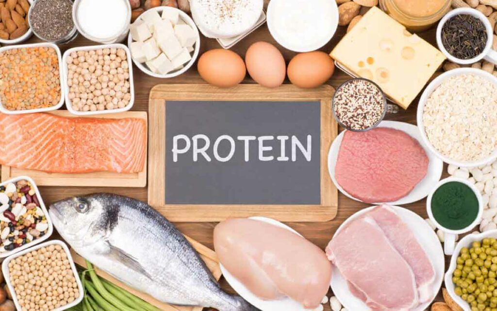 Protein