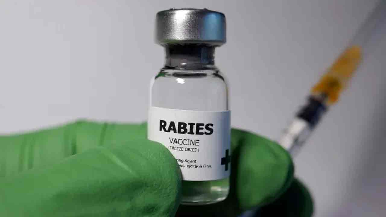 Rabies | రేబిస్‌తో గేదె మృతి.. భయంతో 200 మంది గ్రామస్తులకు వ్యాక్సిన్లు