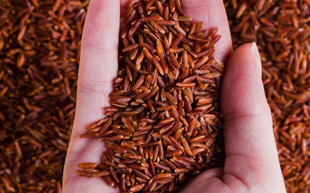Red Rice | రోజూ మీరు తినే తెల్ల బియ్యానికి బ‌దులుగా ఈ రెడ్ రైస్‌ను తినండి.. ఎంతో మేలు జ‌రుగుతుంది..!
