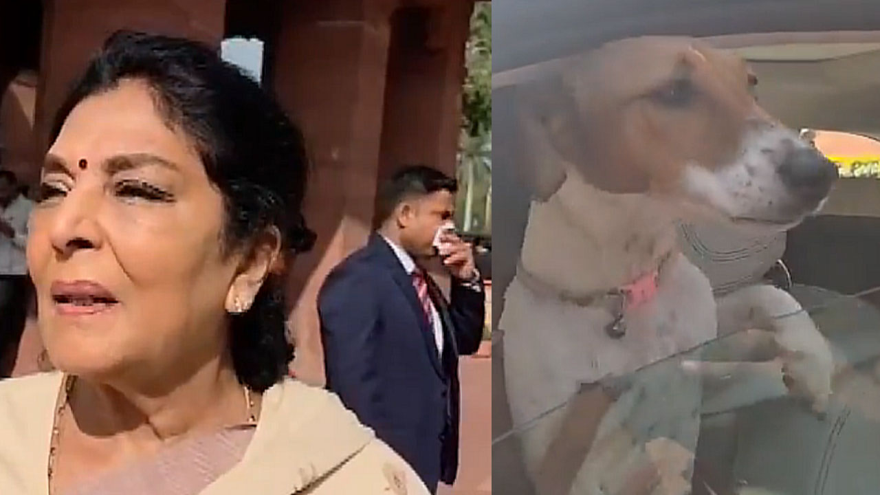 Renuka Chowdhury: స‌భ‌లో కూర్చున్న‌వాళ్లు క‌రుస్తారు.. పార్ల‌మెంట్‌కు వీధికుక్క‌ను తీసుకొచ్చిన ఎంపీ రేణుకా చౌద‌రీ
