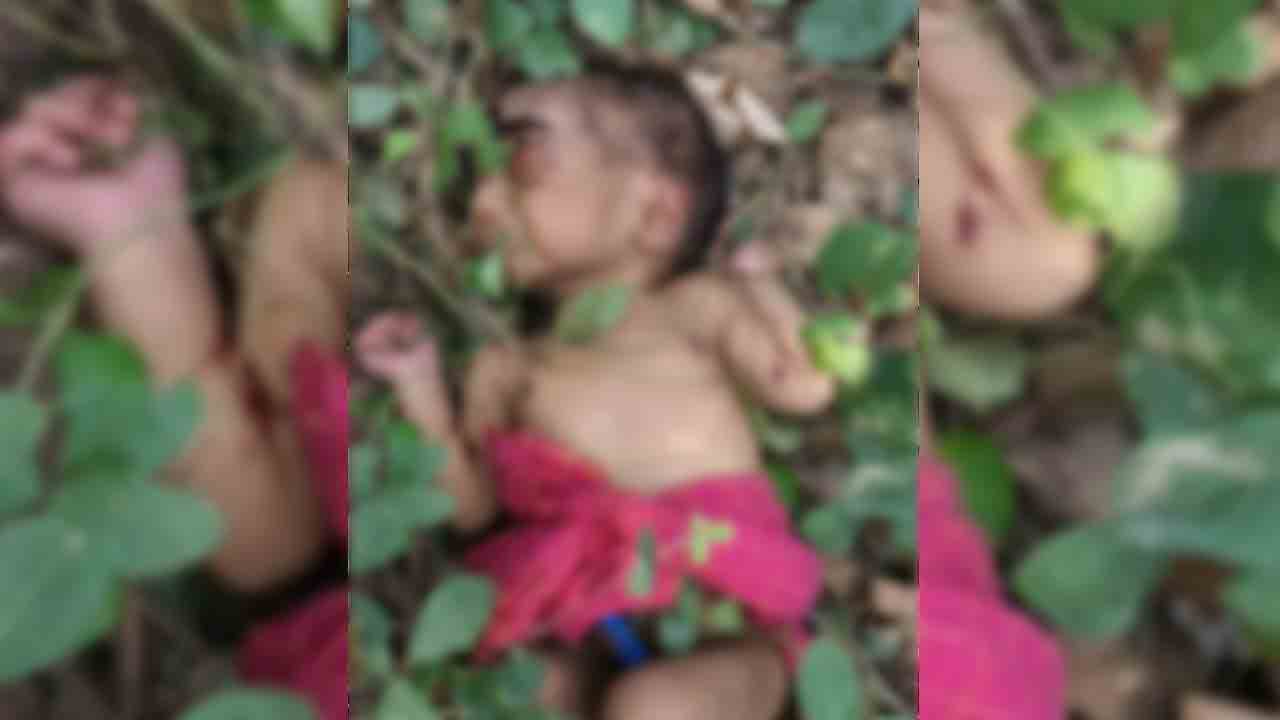 కంపచెట్లల్లో పసికందు