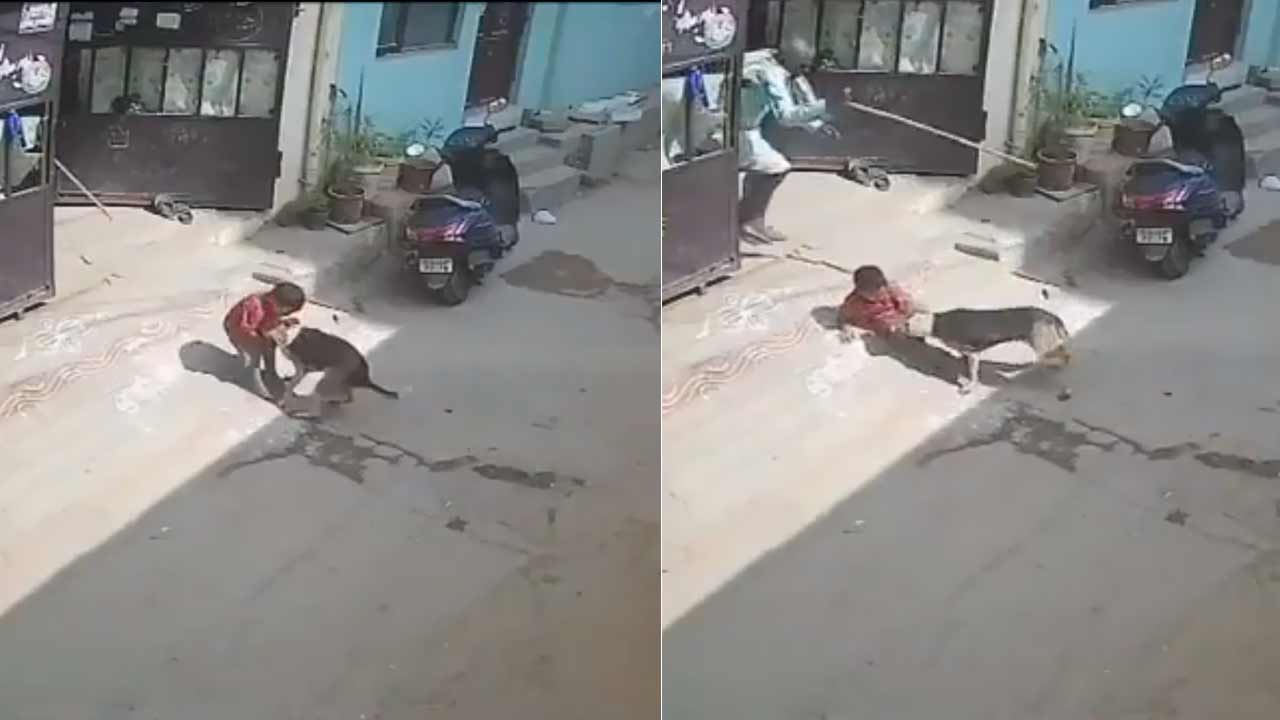 Hyderabad | హైదరాబాద్‌లో రెండేళ్ల బాలుడిపై వీధి కుక్క దాడి.. వీడియో వైరల్‌