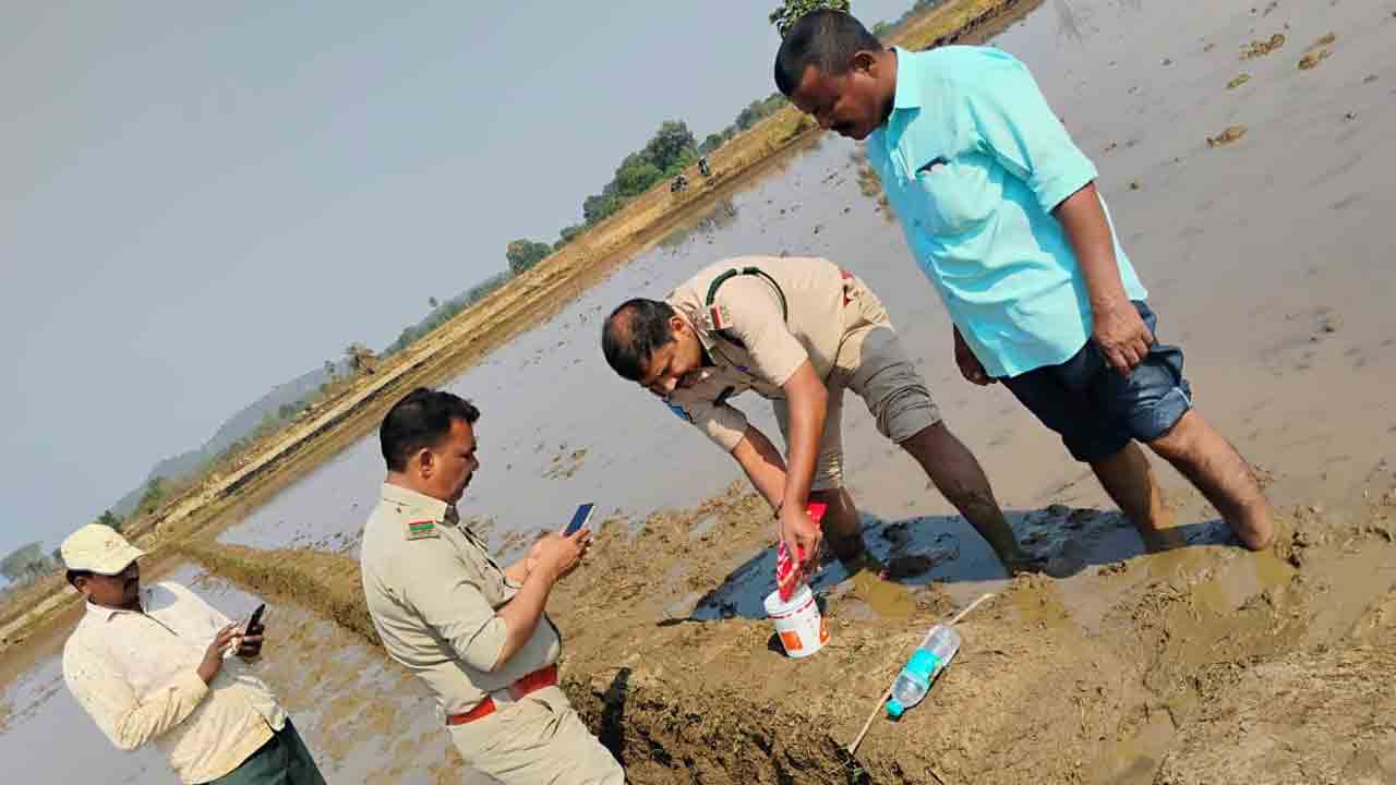 Karimnagar | కరీంనగర్ శివారులో పెద్దపులి సంచారం
