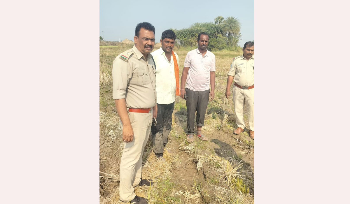 Tiger | బహదూర్‌ఖాన్‌పేట్‌లో పులి సంచారం.. కొనసాగుతున్న కరీంనగర్‌ అటవీశాఖ అధికారుల అన్వేషణ