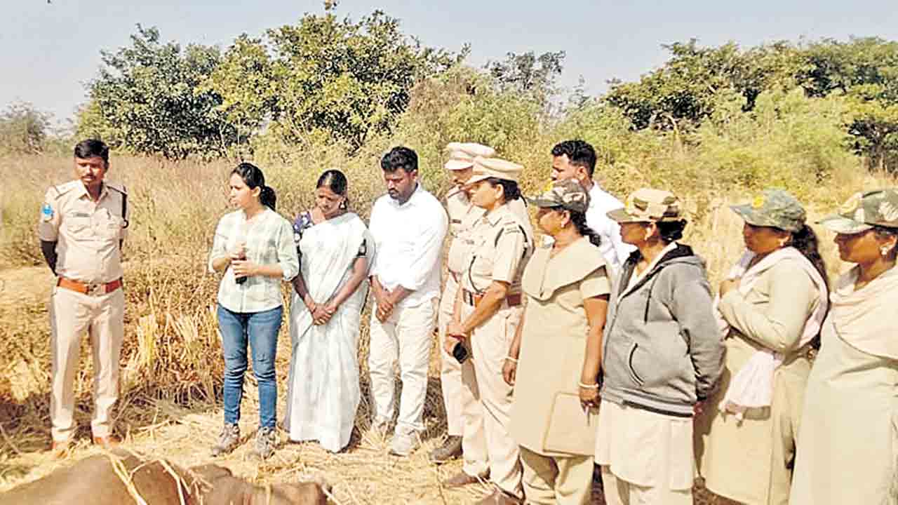 బాబోయ్‌.. మరో పులి వచ్చింది!