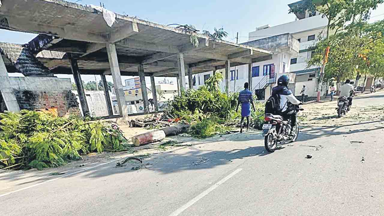 ఇంటి నిర్మాణానికి అడ్డుగా ఉన్నాయని.. చెట్ల నరికివేత