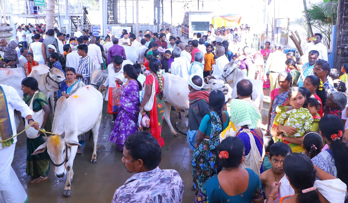 Bhimeshwara temple | భీమేశ్వర ఆలయంలో సమ్మక్క భక్తుల సందడి.. దర్శనానికి క్యూ లైన్ లో వేచి ఉన్న భక్తులు