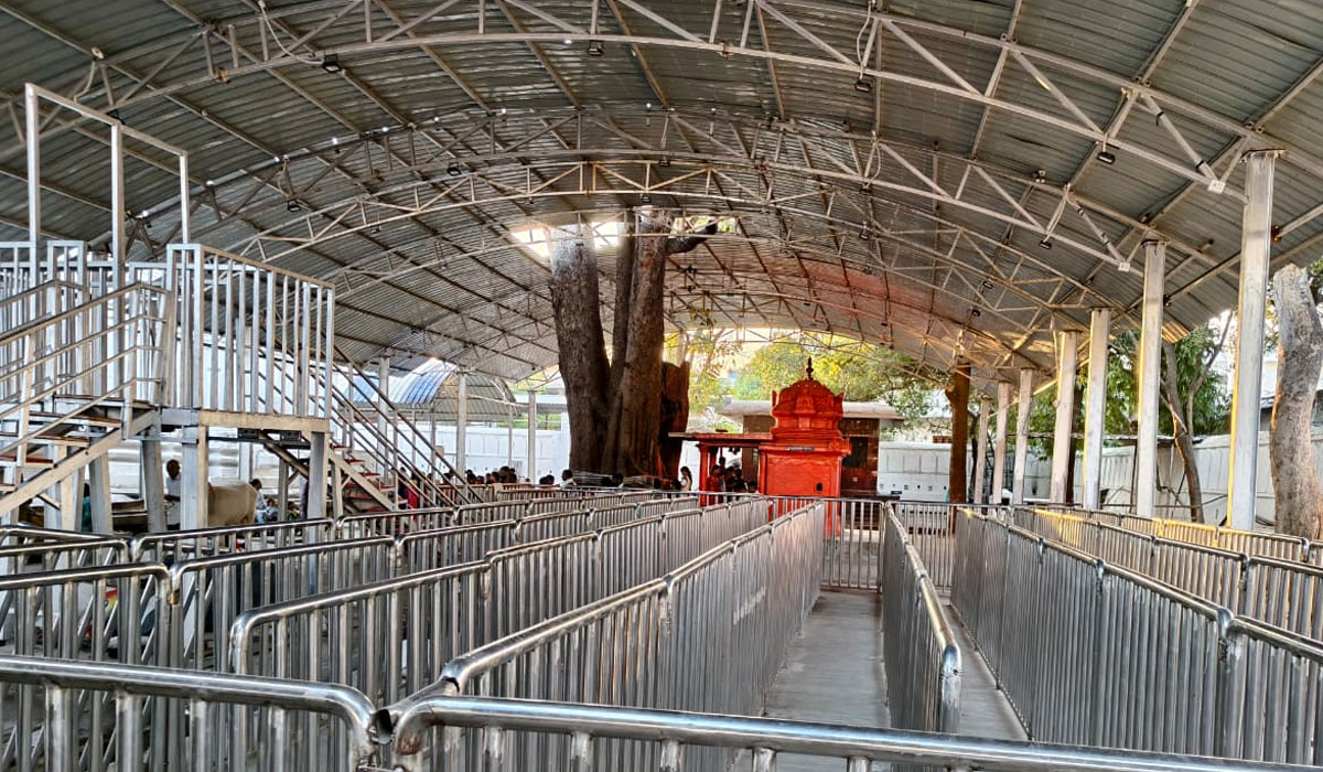 Bhimeshwara Temple | పల్లె పోరులో పట్నం ప్రశాంతం.. భక్తులు లేక వేలవేల బోయిన భీమేశ్వరాలయం