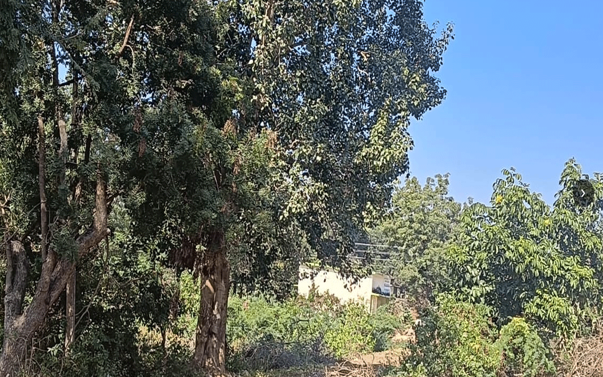 Bhadradri Kothagudem : జనమే లేని ఊరిలో ఎన్నికలు