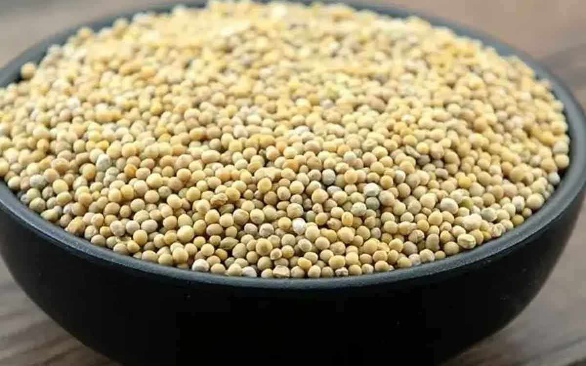 White Mustard | తెల్ల ఆవాలు కూడా ఉంటాయ‌ని మీకు తెలుసా..? వీటితో ఎలాంటి లాభాలు క‌లుగుతాయంటే..?