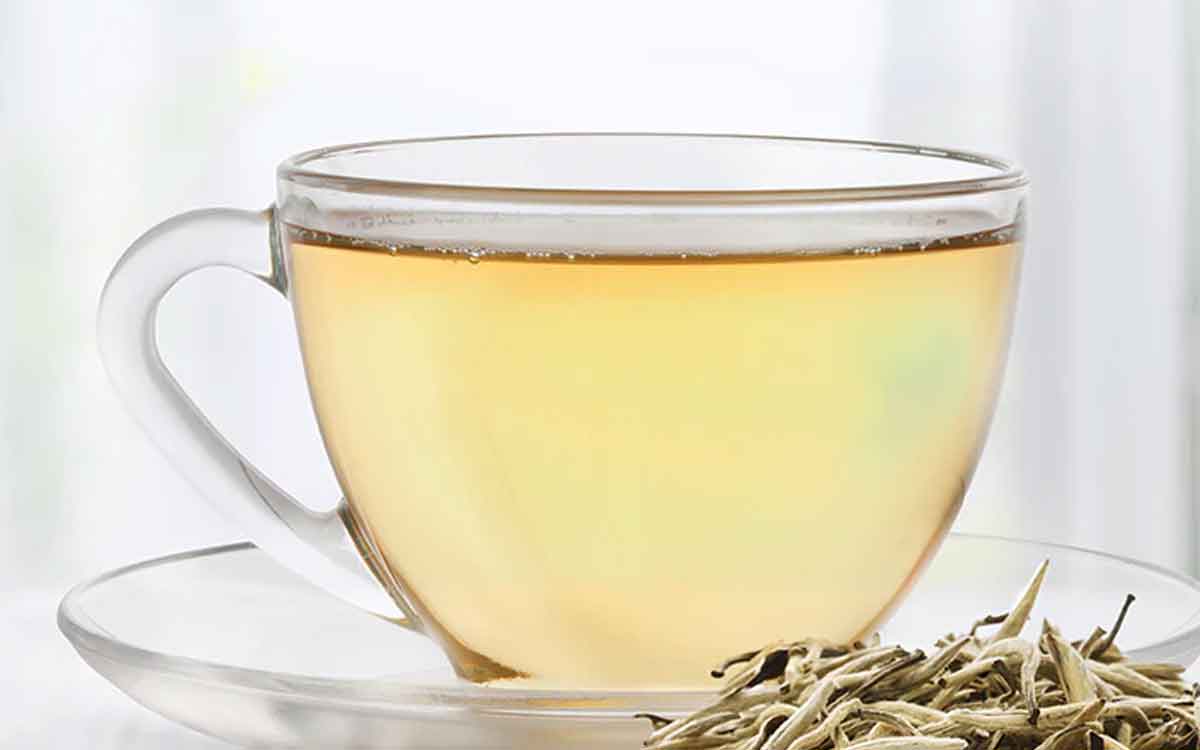 White Tea | మీకు వైట్ టీ గురించి తెలుసా..? దీన్ని తాగితే అనేక అద్భుత‌మైన లాభాల‌ను పొంద‌వ‌చ్చు..!