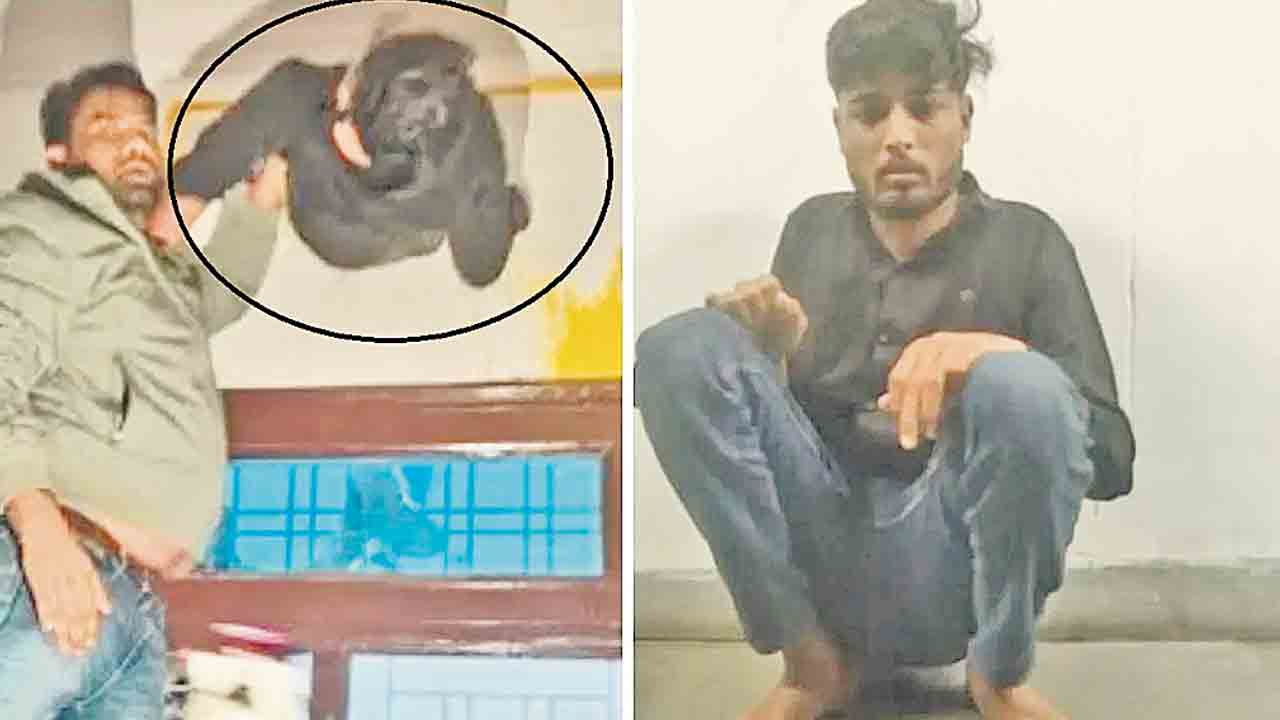 ఎరక్కపోయి వచ్చి.. ఇరుక్కుపోయాడు!