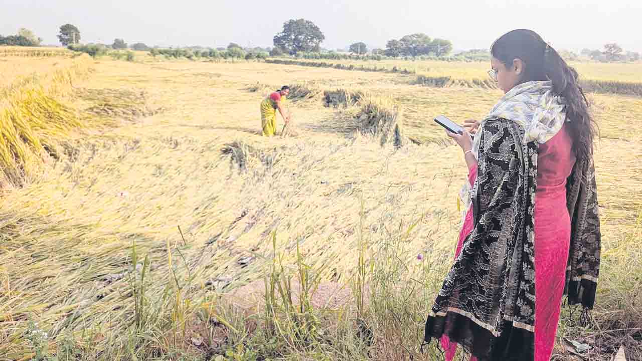 సర్వే సరి.. పరిహారం ఏదీ.. ‘మొంథా’ తుఫాన్‌తో ఉమ్మడి జిల్లాలో వేలాది ఎకరాల్లో పంటలకు నష్టం