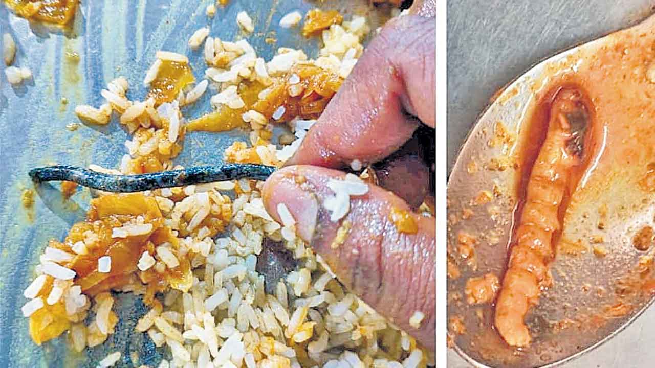 KU Girls Hostel | కేయూ గర్ల్స్‌ హాస్టల్‌లో పురుగుల భోజనం