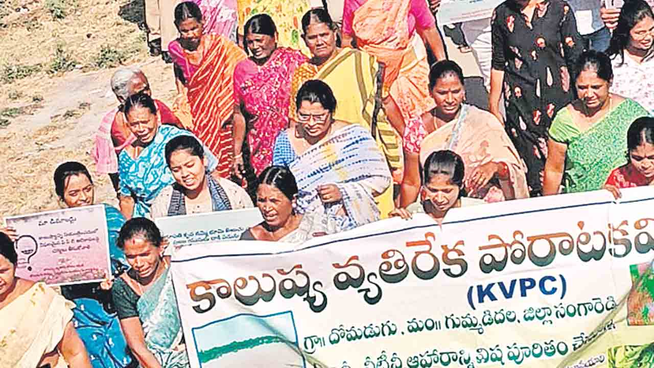 కాలుష్య సమస్య పరిష్కరించాలి