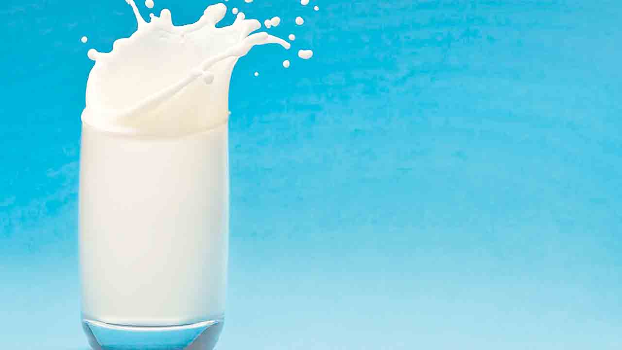 హైదరాబాద్‌.. ఆంధ్రా‘పాలు’.. పాగా వేయనున్న ఏపీ విజయ డెయిరీ