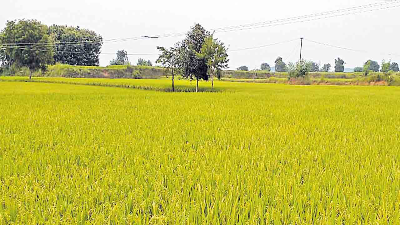 వ్యవసాయ వర్సిటీకి 500 కోట్లు ఇవ్వాలి