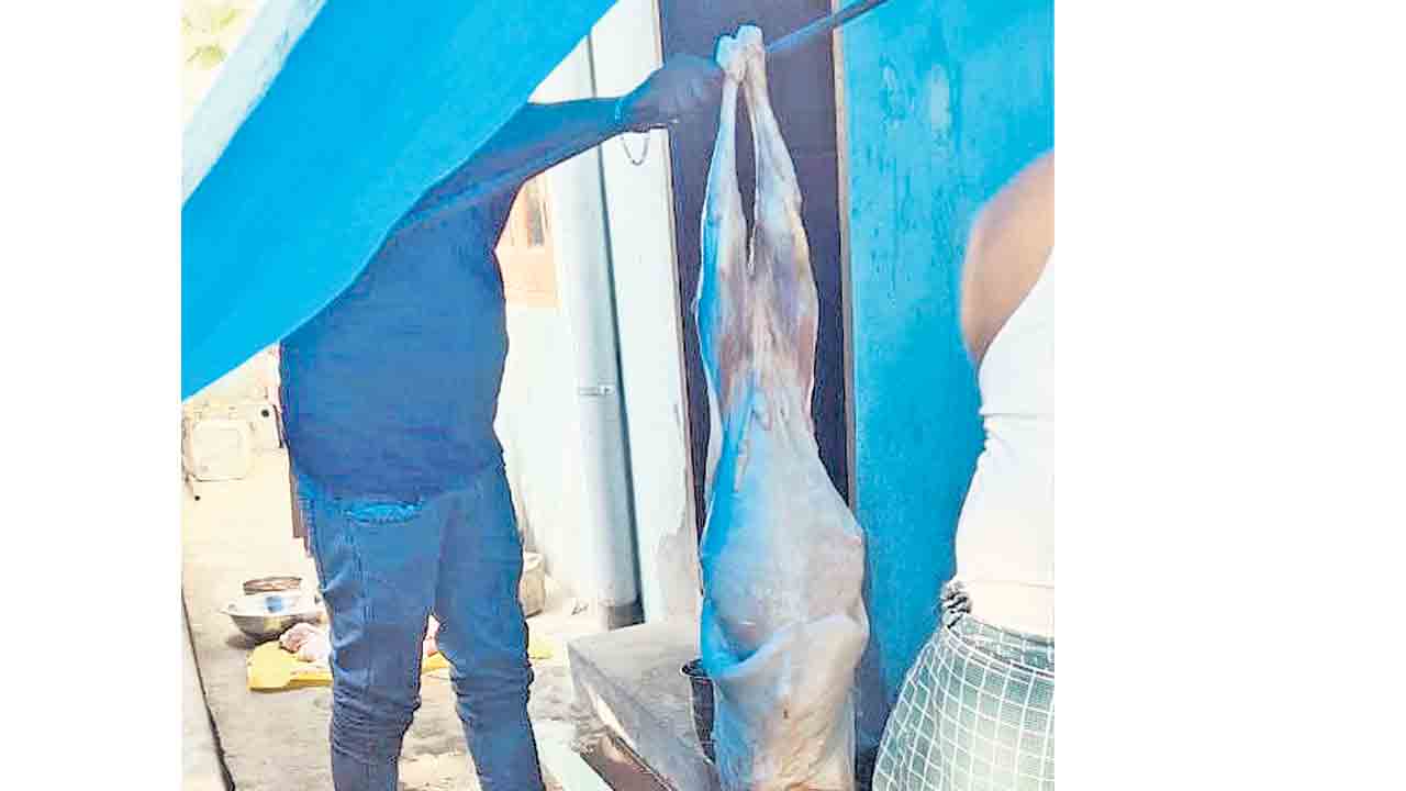 Vemulawada | భీమేశ్వర సదన్‌లో జంతుబలి.. వేములవాడలో భక్తుల అభ్యంతరం