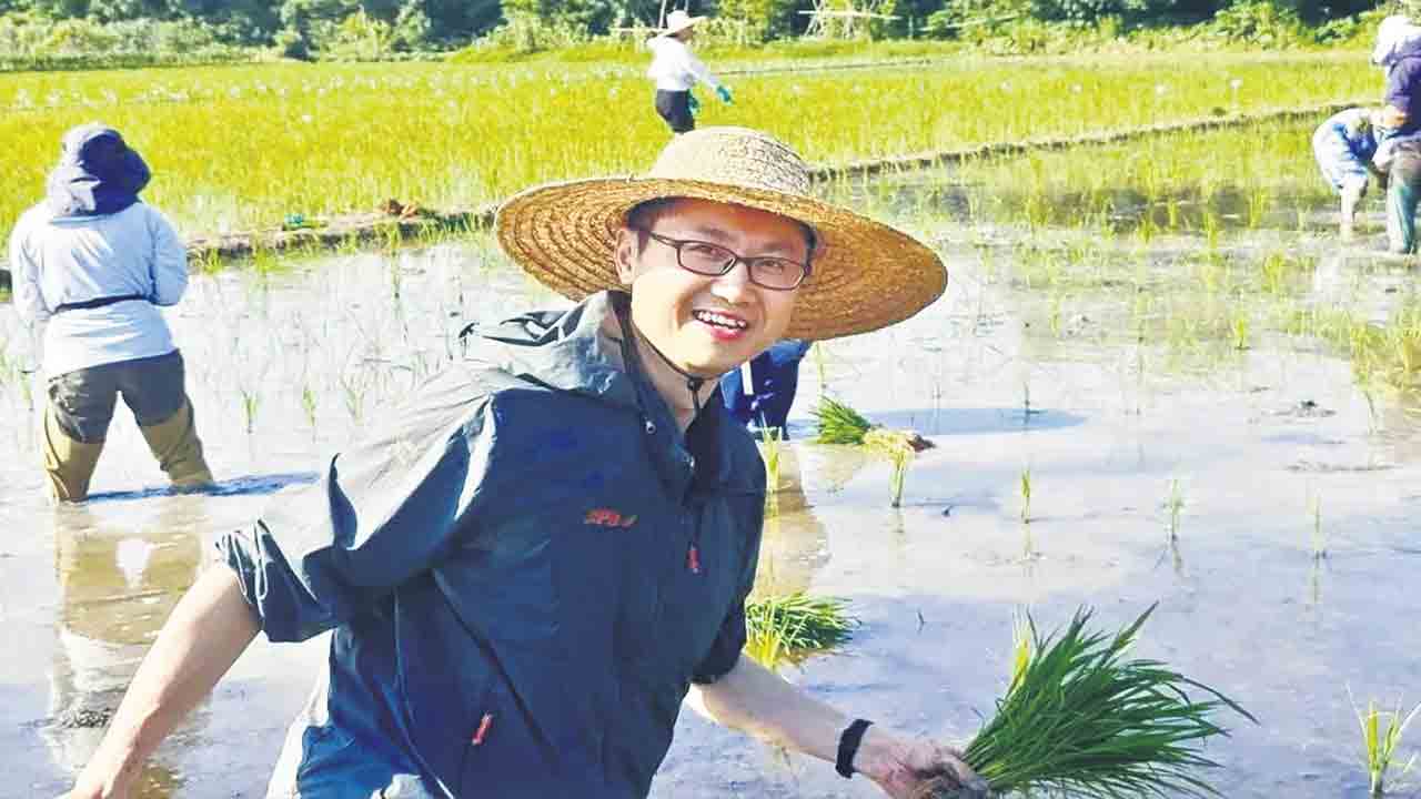 ఔరా అనిపించే హైబ్రిడ్‌ వరి!