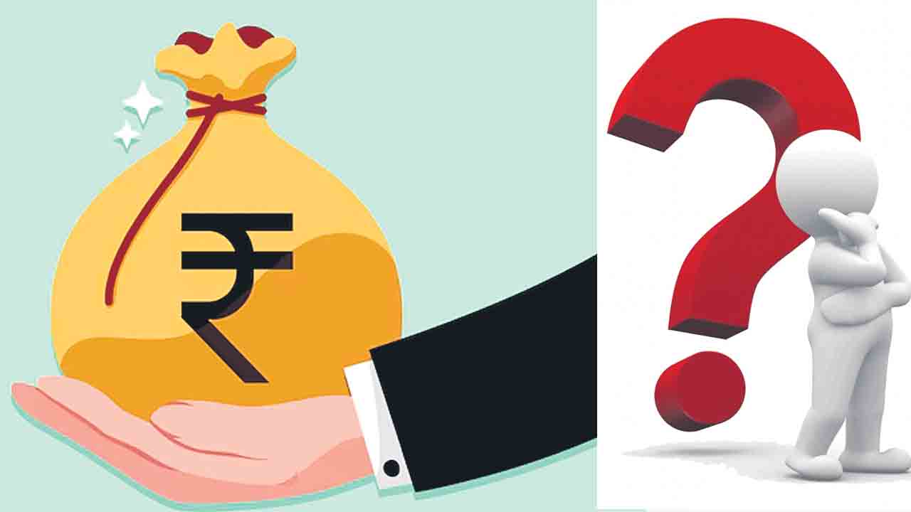 పెట్టుబడులంతా డొల్ల