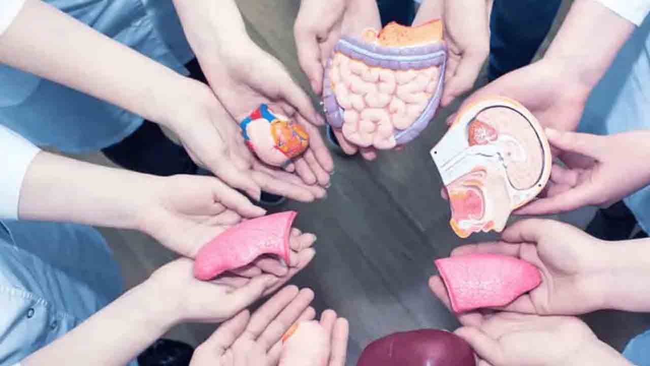 అవయవ దానాల్లో తెలంగాణ టాప్‌