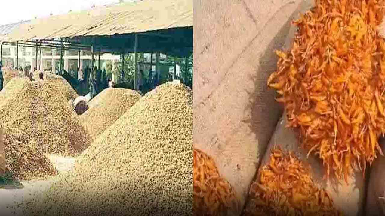 వేరుశనగ @ రూ.10వేలు