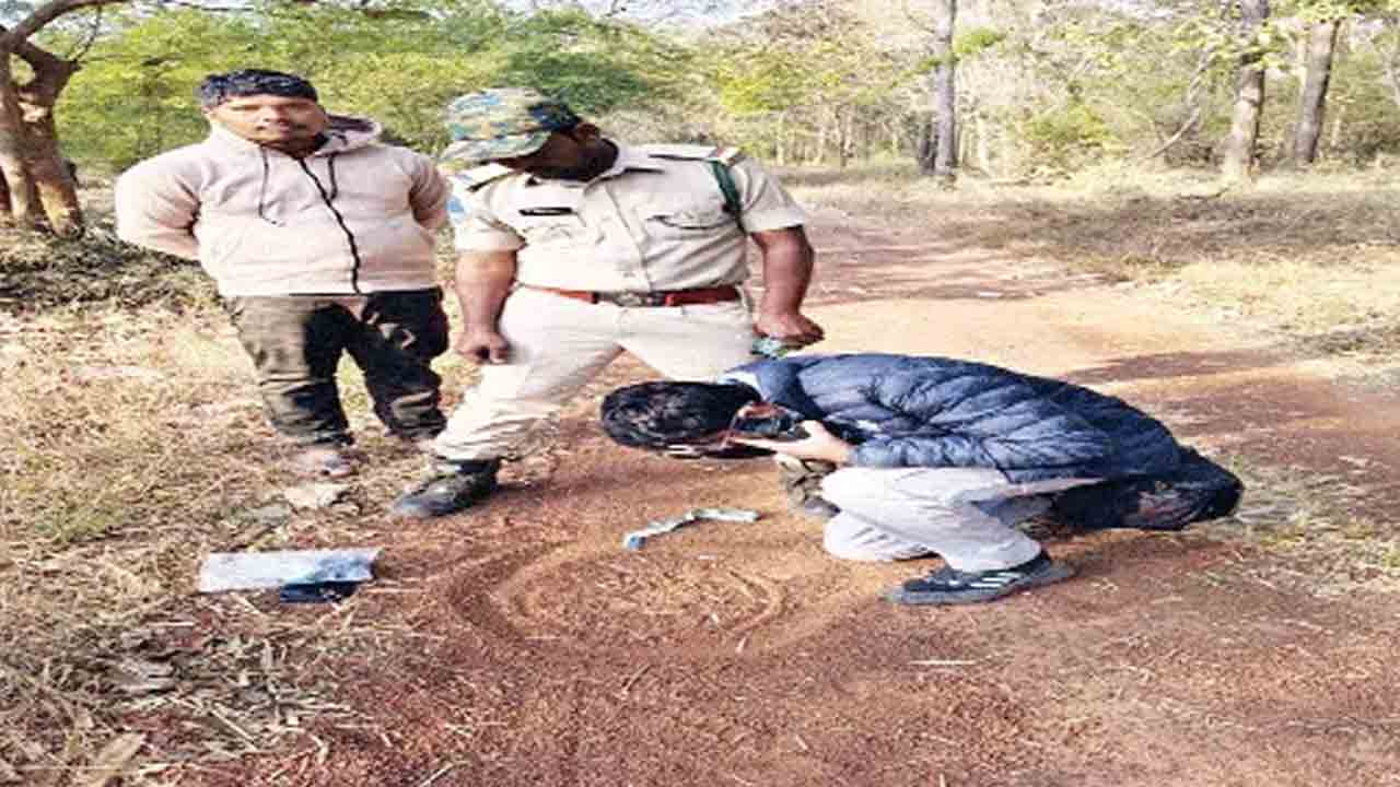 ముగిసిన వన్యప్రాణులు, పెద్దపులుల గణన