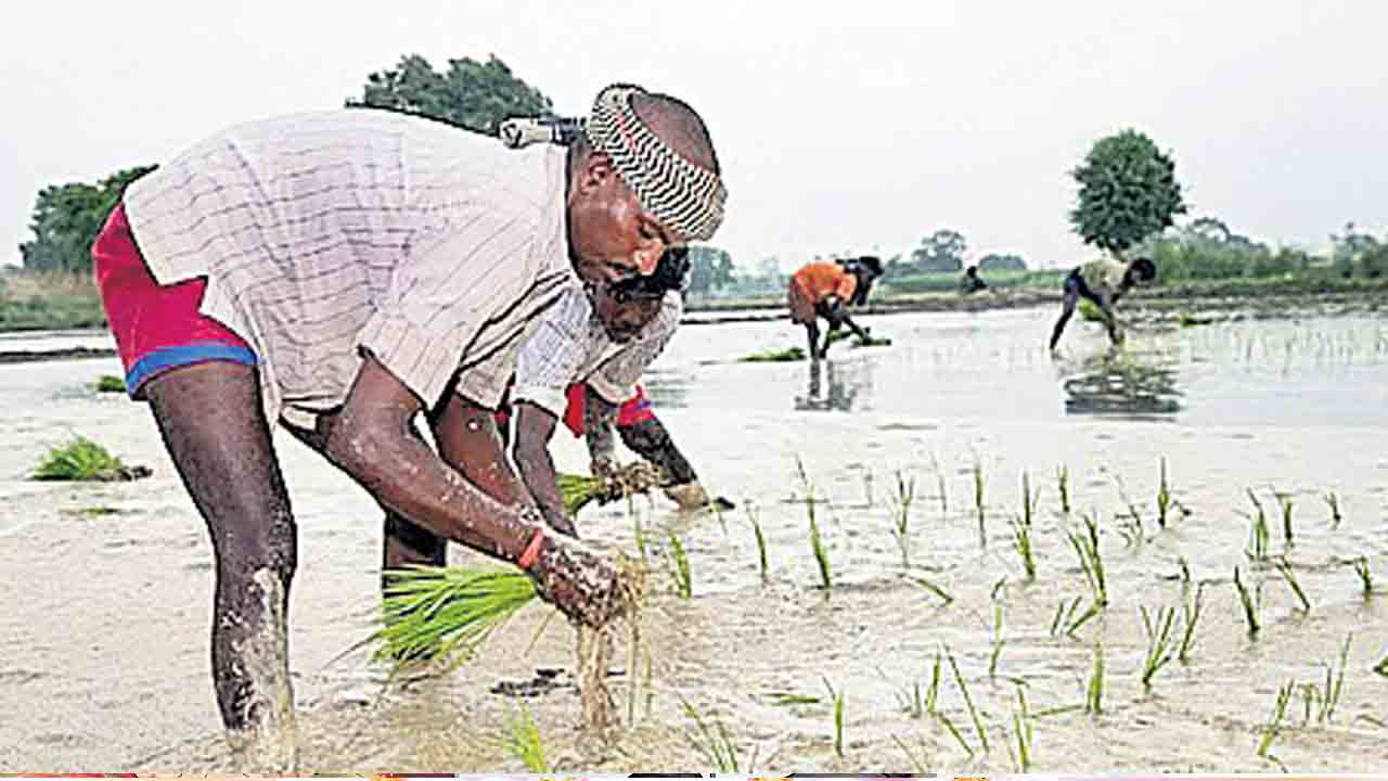 రైతు భరోసా లేనట్టే!