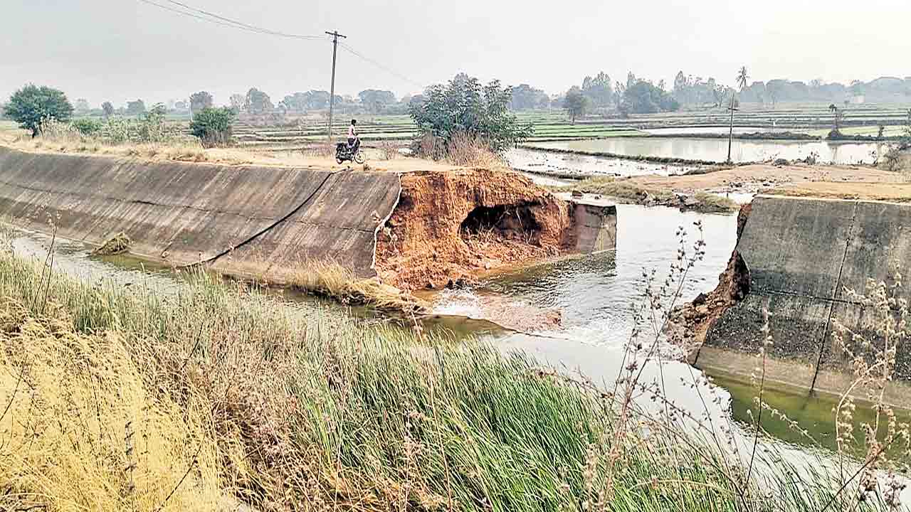 పొలాలను ముంచిన సర్కార్‌ నిర్లక్ష్యం.. మల్లన్నసాగర్‌ కాలువకు గండి