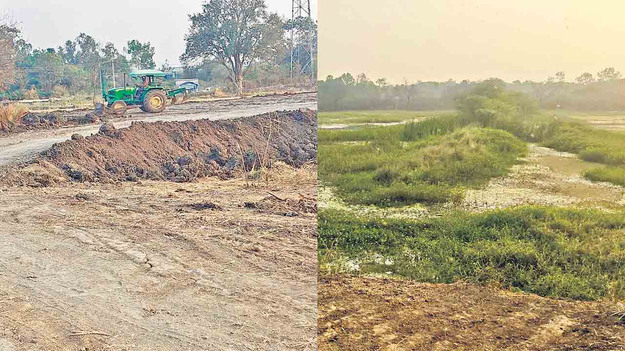 Maktakunta | మక్తకుంటపై పెద్దల కన్ను.. 30 ఎకరాలను చదును చేసి ఆక్రమించేందుకు పన్నాగాలు