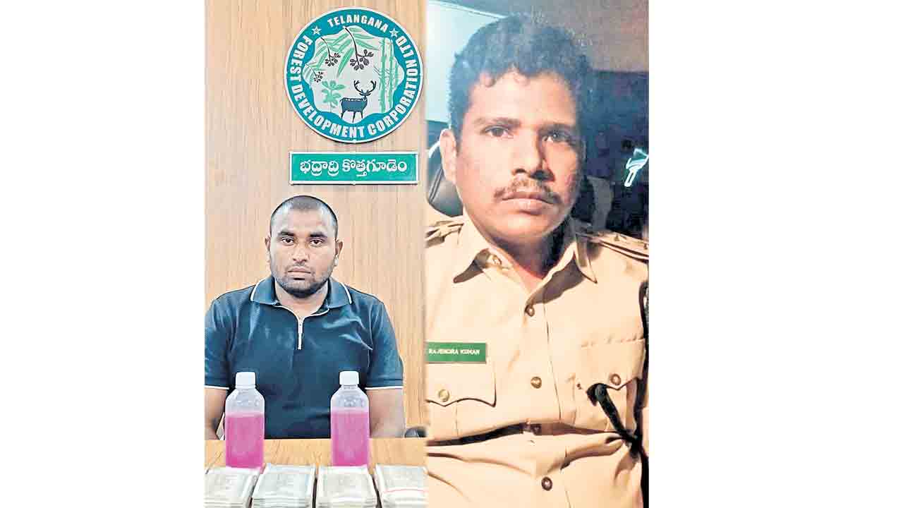 చెట్ల కటింగ్‌ బిల్లుకు 3.51 లక్షల లంచం