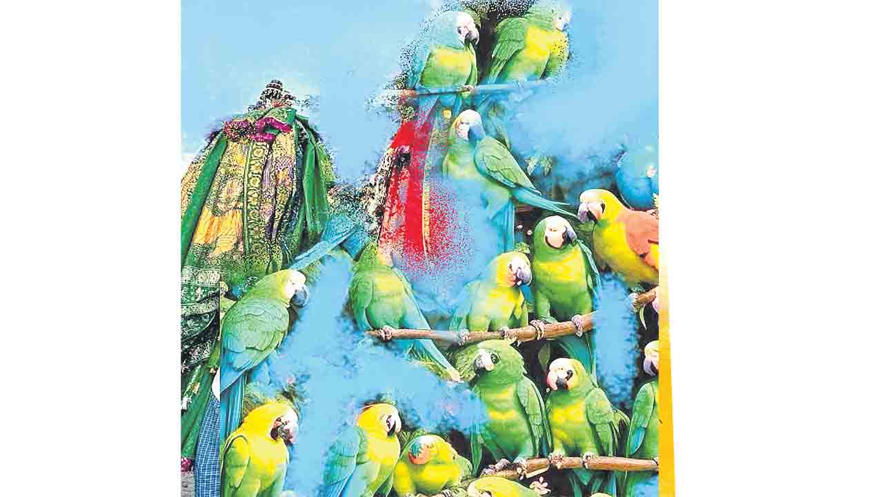 దేవలోకం బాయి