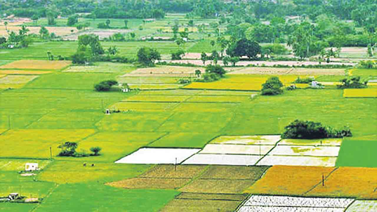 Bhu Bharati | తీగలాగితే కదులుతున్న భూభారతి డొంక.. 100 కోట్లు స్వాహా చేసిన కేటుగాళ్లు