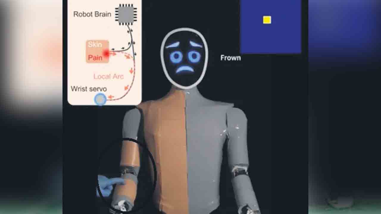 Robot | రోబోలకు స్పర్శ జ్ఞానం.. నొప్పిని గ్రహిస్తున్న రోబోలు